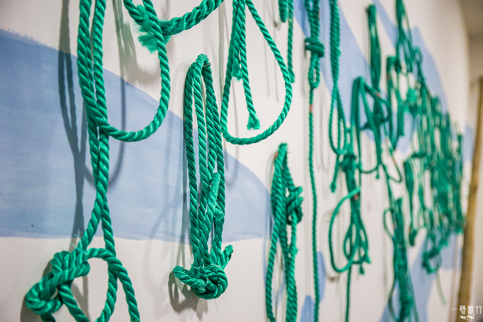 牡蛎生命意义,野生牡蛎的价值