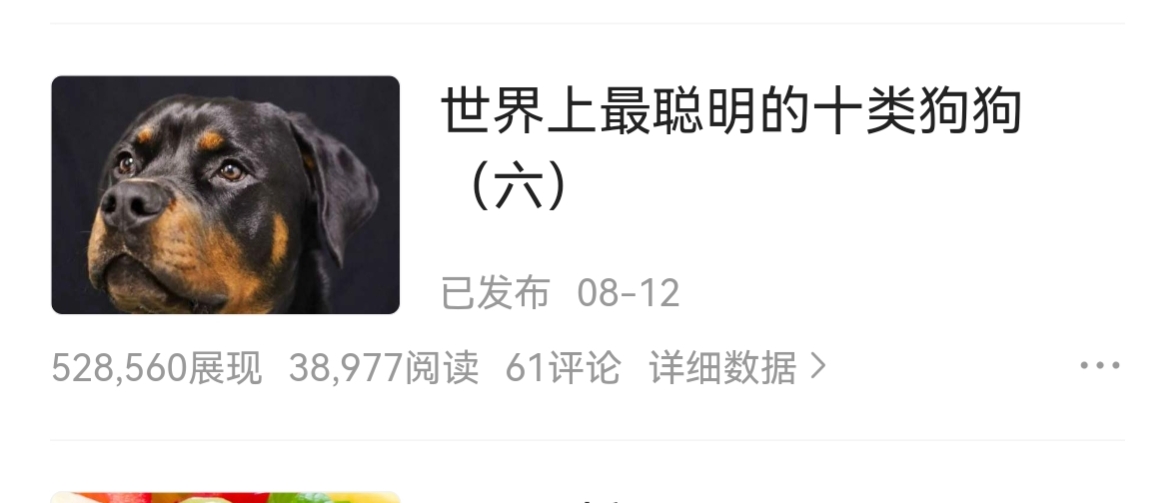 狗礼仪文化,狗尊重主人的表现