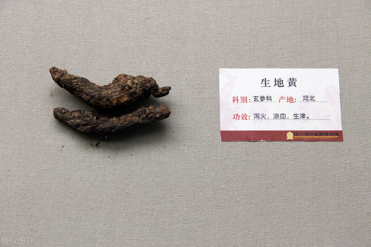 泡水喝生地黄好还是熟地黄好,地黄一般指生地黄还是熟地黄