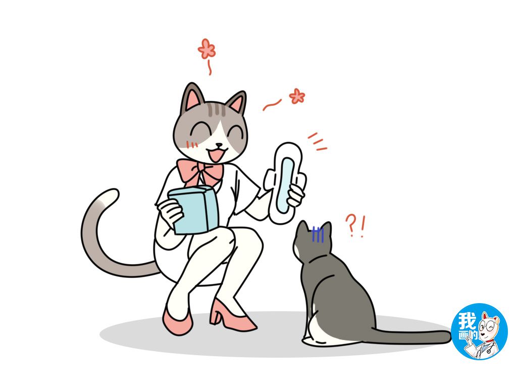 辟谣：猫咪发情也会来例假？出血很可能是身体不适的信号