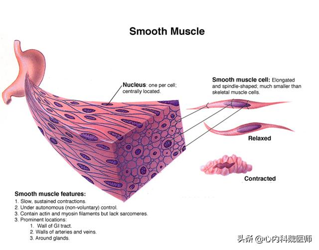 33岁脉压差大于60的解决方法,50-60岁脉压差大血压标准