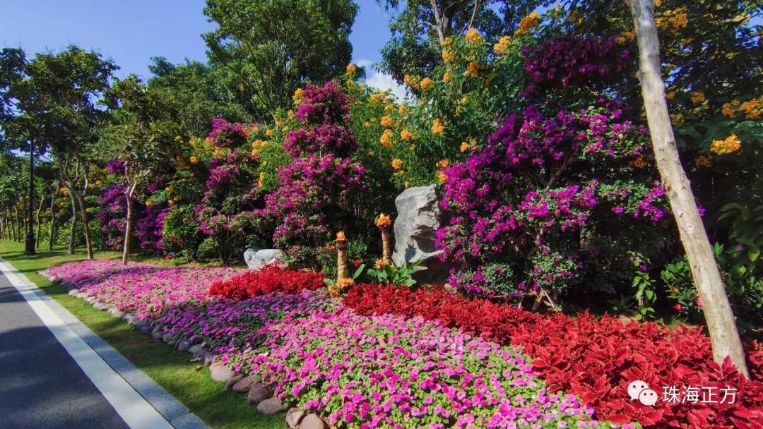 珠海买房过冬真实感受,在珠海买房十大秘诀