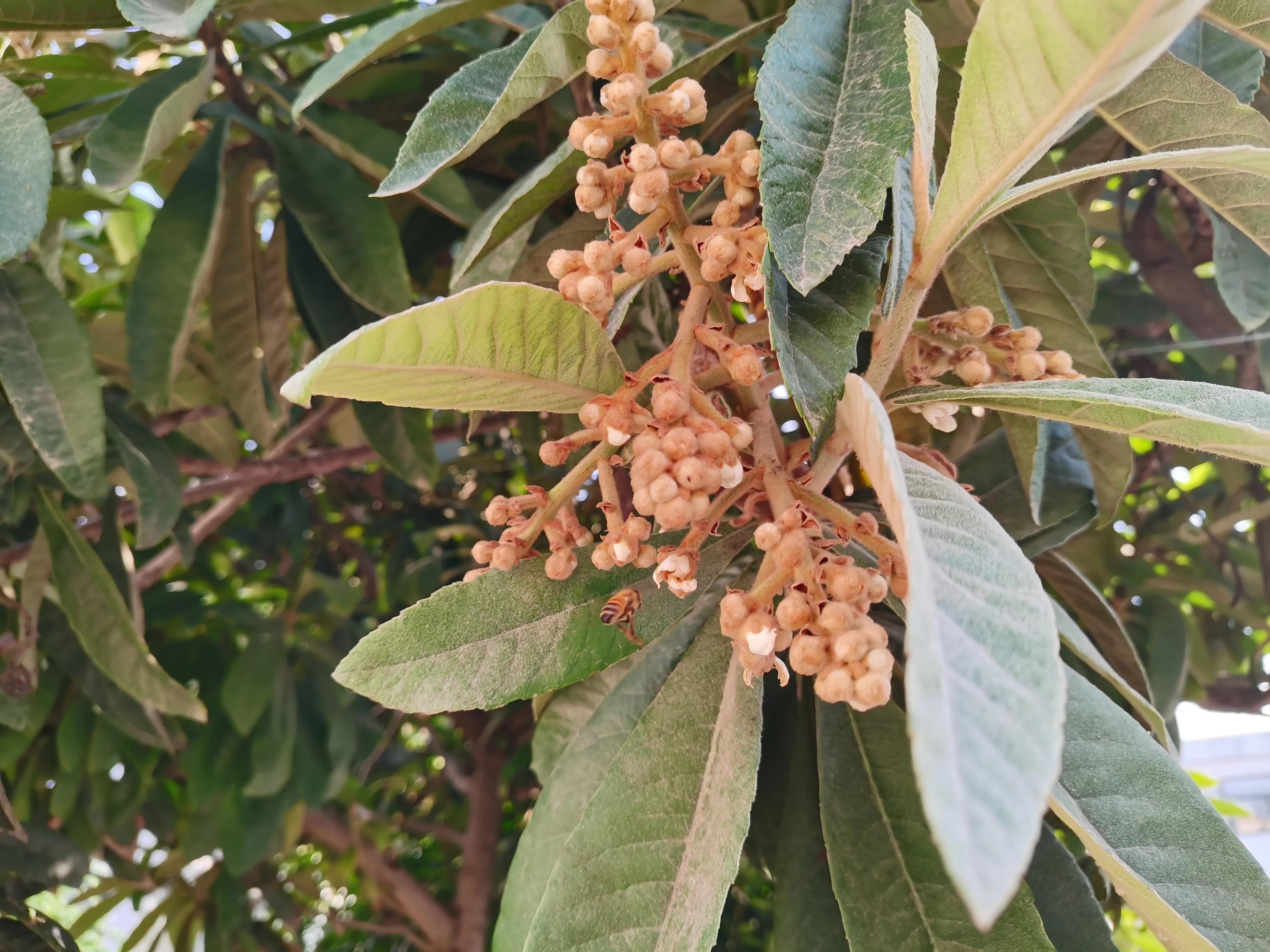 中医能治疗慢性前列腺炎吗,慢性前列腺炎尿频怎么治疗