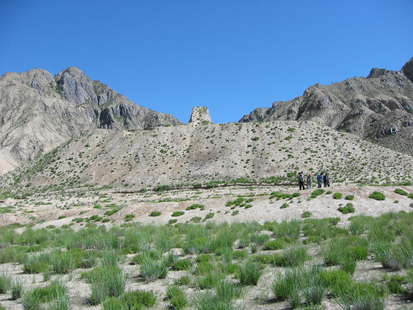 青海都兰吐蕃大墓发掘记,青海都兰墓群