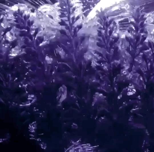 tomford香水最值得买的,tomford的香水为什么这么贵