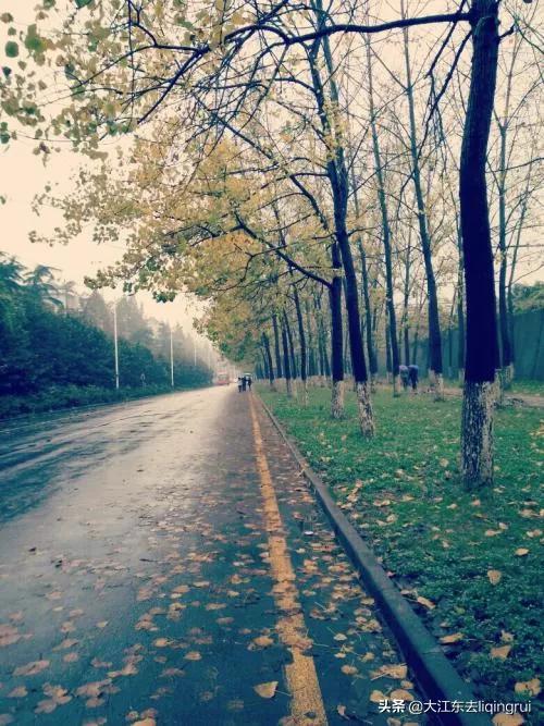 秋雨诗词伤感,秋雨诗词全集