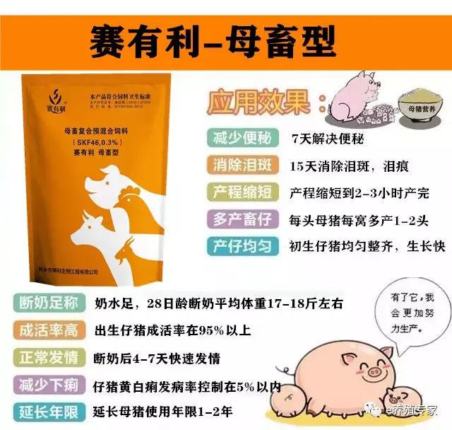 「技术」母猪发情时间的判断直接影响产仔数，如何鉴别发情？