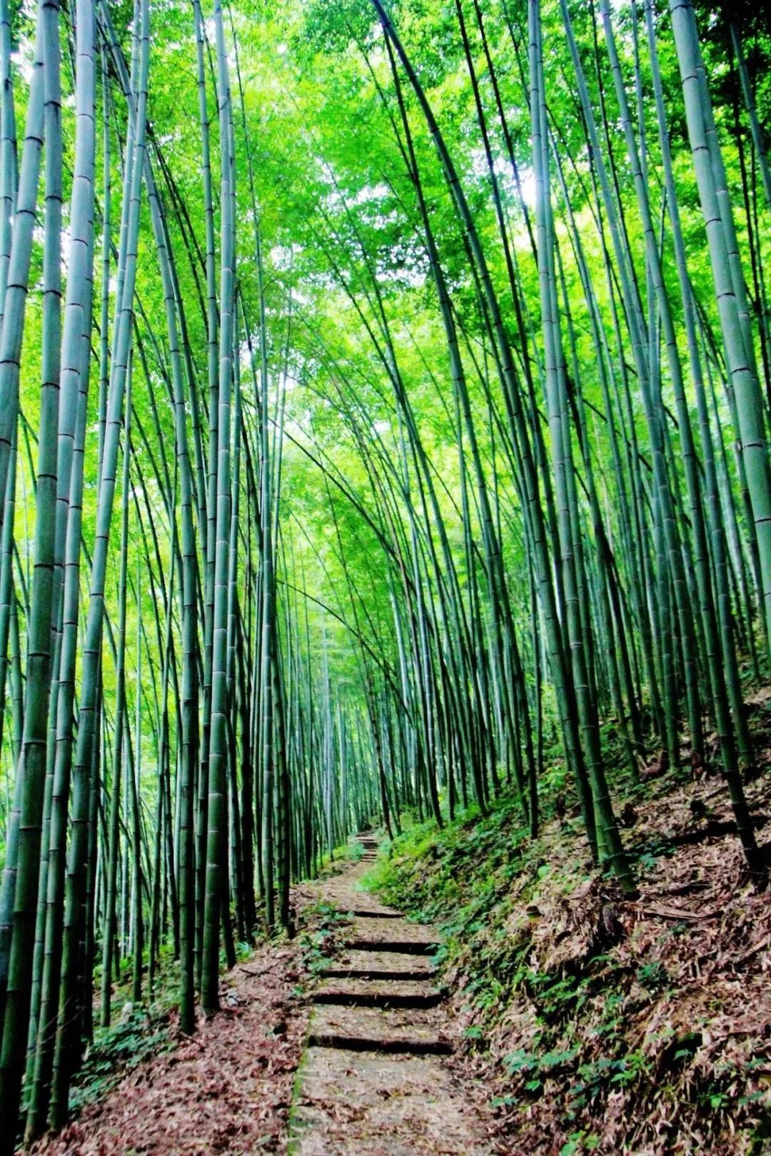 国庆成都周边旅游攻略推荐,成都周边旅游国庆2-3天推荐地方