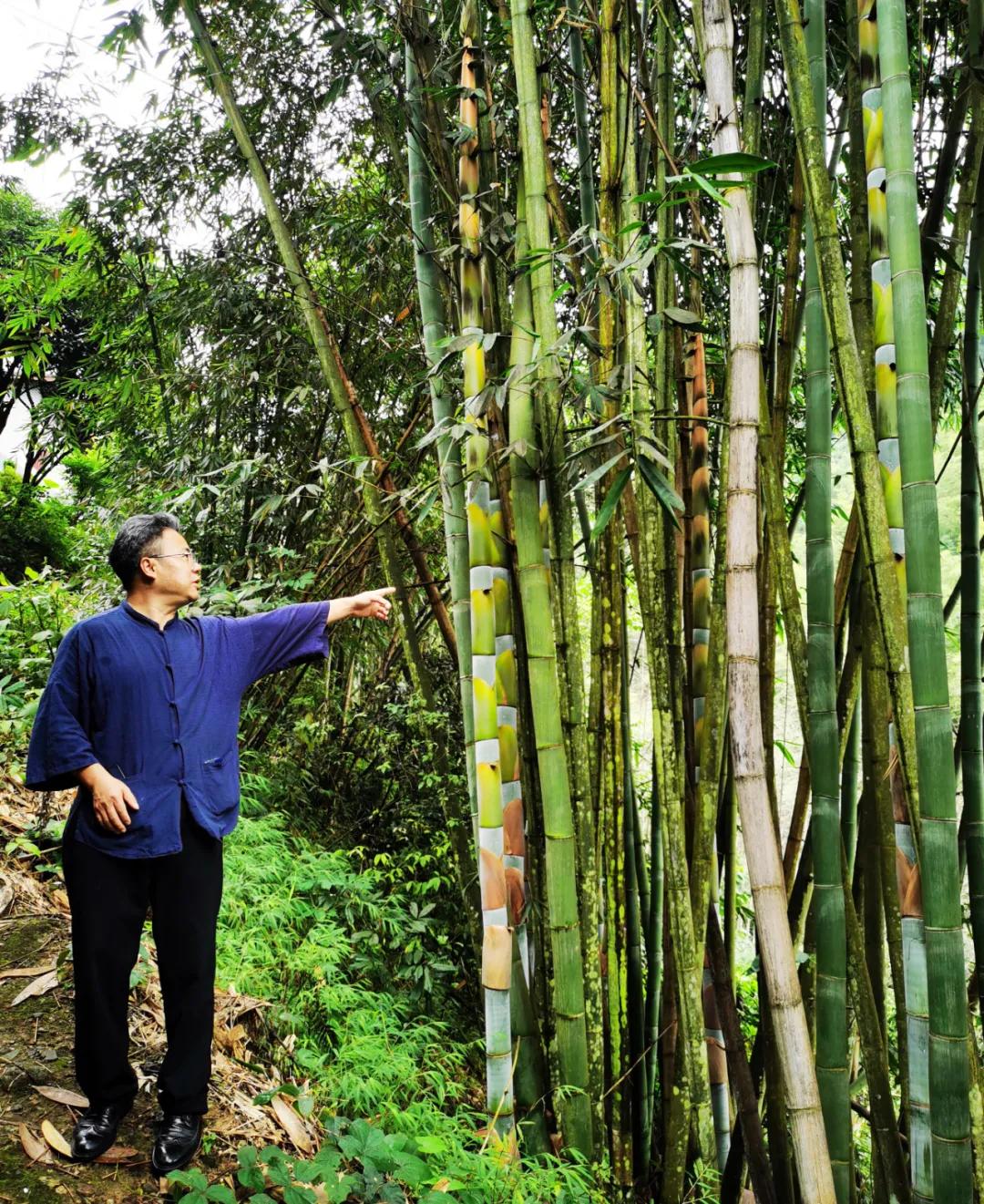 「赣商风采」许松勤:大山之子的时代梦