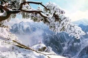 致敬抗疫英雄弘扬雷锋精神,向英雄致敬抗疫精神