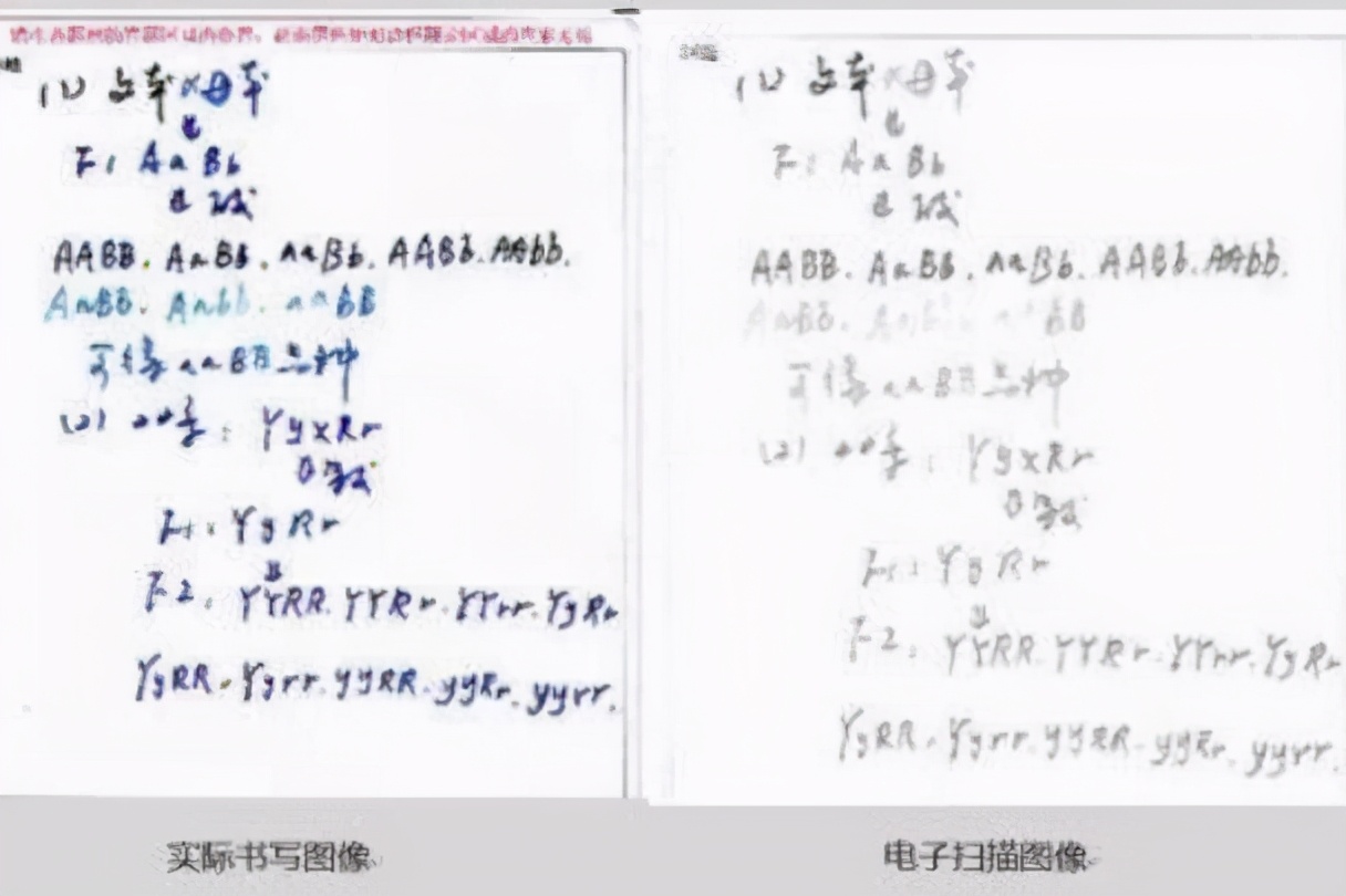 考试字迹潦草电脑不识别,考试时书写有点潦草对成绩影响