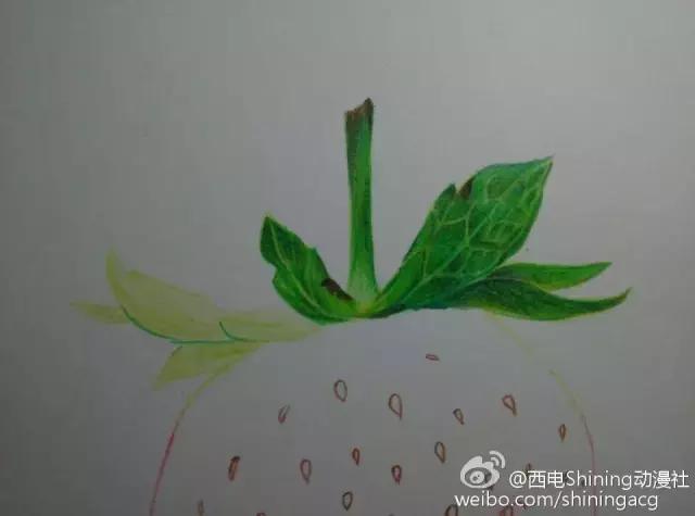 彩铅写实教学草莓,草莓蛋糕用彩铅怎么画