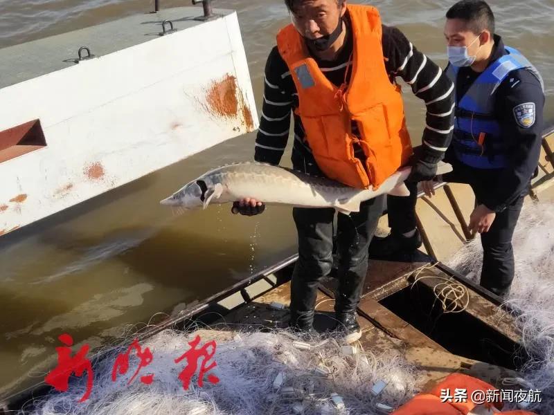 黑龙江发现恐龙化石了吗,黑龙江发现恐龙化石