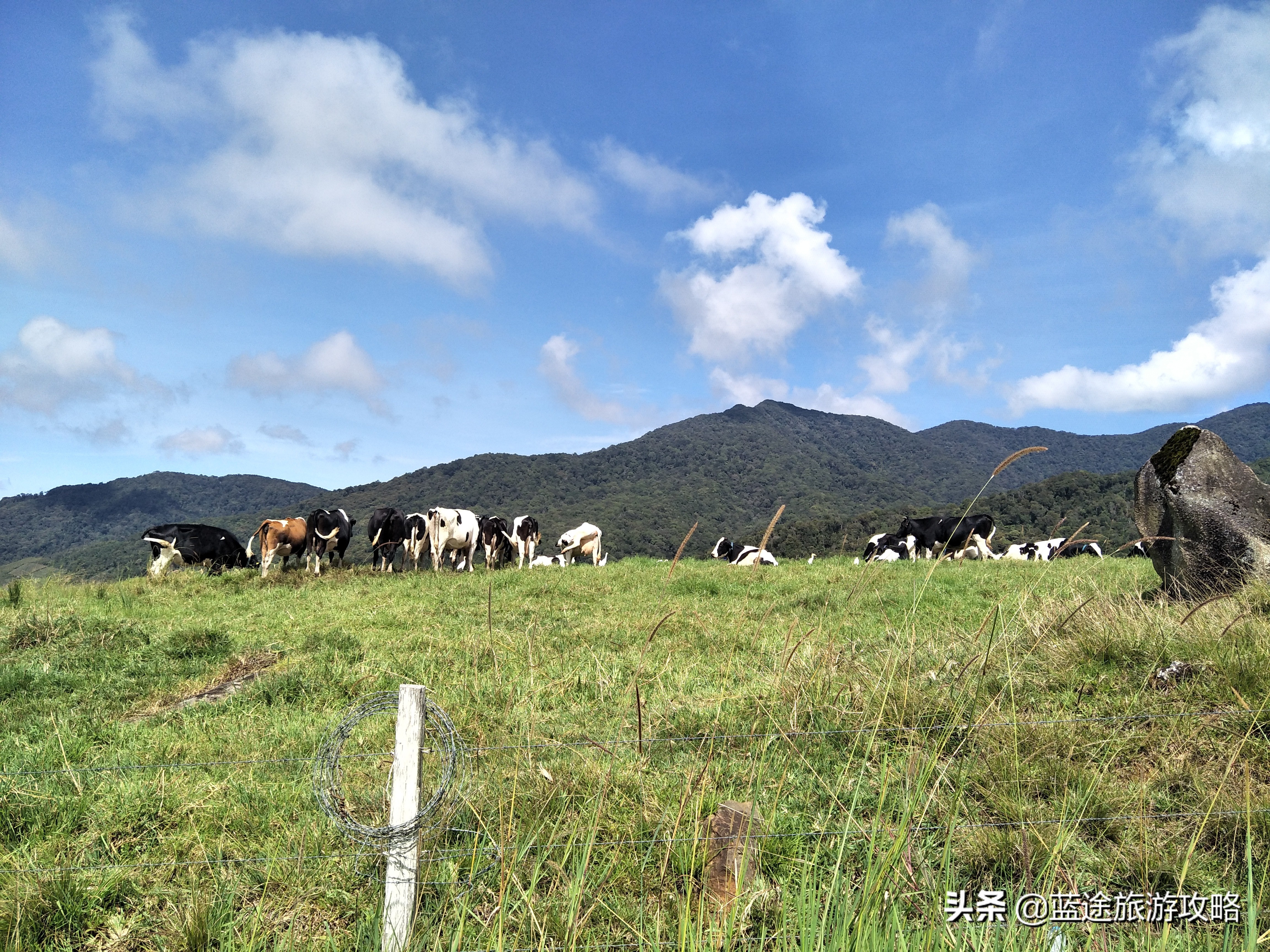 去沙巴是自由行还是跟团好 (沙巴跟团游玩攻略)