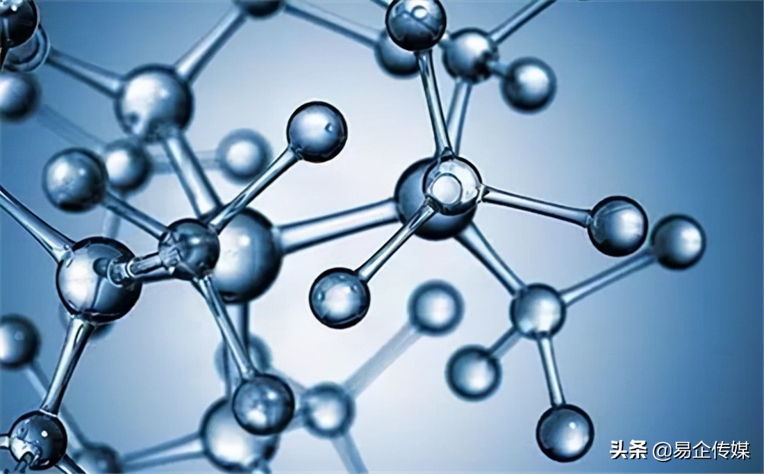康尔邹圣灿：加强新型系列化海洋活性肽研发与市场开发力度