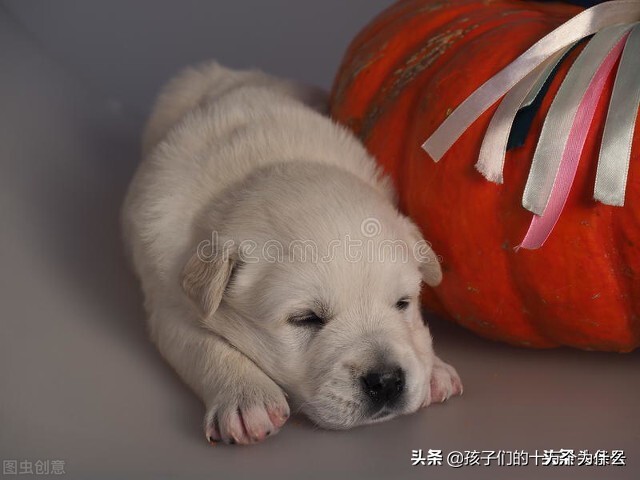 喜欢逛宜家,喜欢逛宜家哪里有生活气息