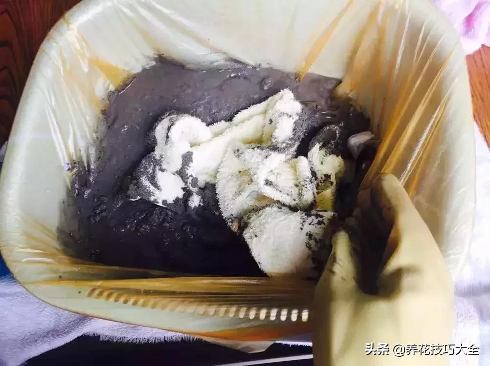 花盆5元一个,花盆不用花钱买