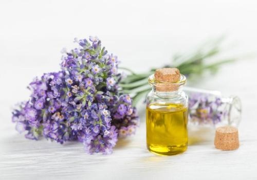 助睡眠推荐薰衣草,安神养颜之熏衣草茶