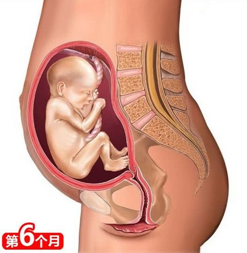 孕晚期胎儿有什么感觉,孕晚期胎儿入盆是怎么样的感觉