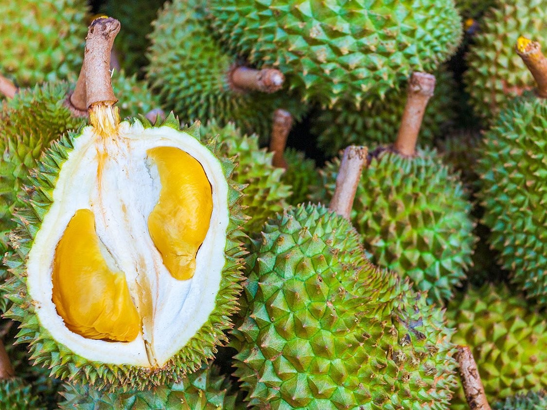 葡萄酒和什么吃了容易醉,葡萄酒和啤酒一起喝的危害