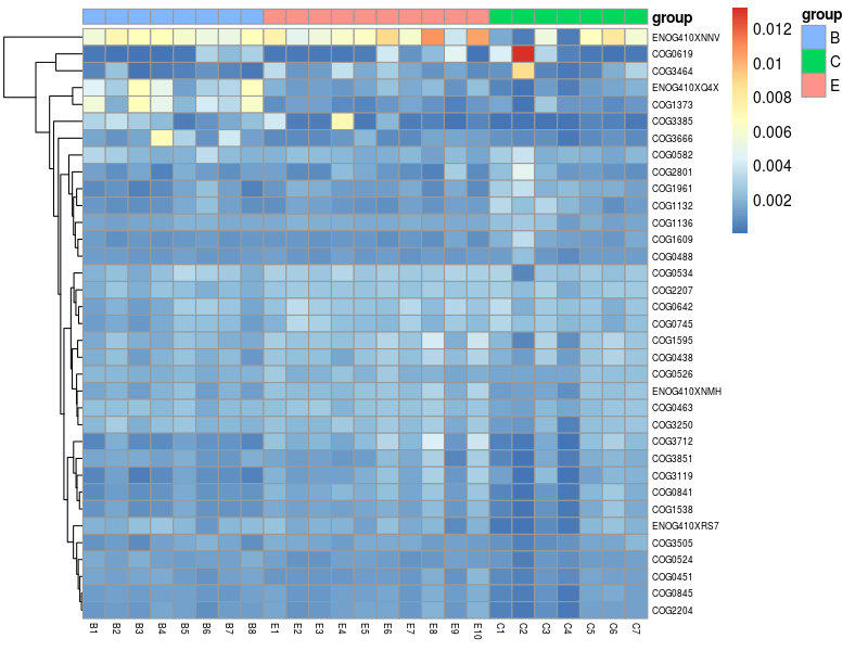 肠道菌群宏基因组,肠道微生物宏基因组检测有必要吗