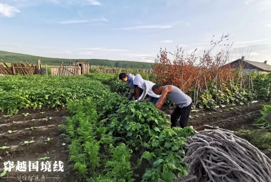 一路找北文案漠河,漠河出发一路到山东
