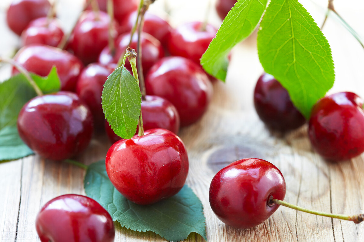 樱桃里面有蛆虫吃了怎么办,樱桃里的蛆虫泡多久