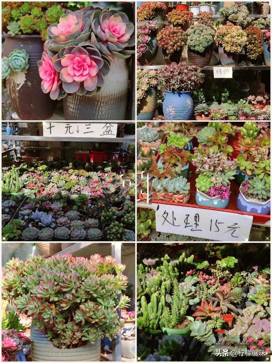 <html>
<head><title>502BadGateway</title></head>
<body>
<center><h1>502BadGateway</h1></center>
<hr><center>nginx</center>
</body>
</html>
<!--apaddingtodisableMSIEandChromefriendlyerrorpage-->
<!--apaddingtodisableMSIEandChromefriendlyerrorpage-->
<!--apaddingtodisableMSIEandChromefriendlyerrorpage-->
<!--apaddingtodisableMSIEandChromefriendlyerrorpage-->
<!--apaddingtodisableMSIEandChromefriendlyerrorpage-->
<!--apaddingtodisableMSIEandChromefriendlyerrorpage-->
