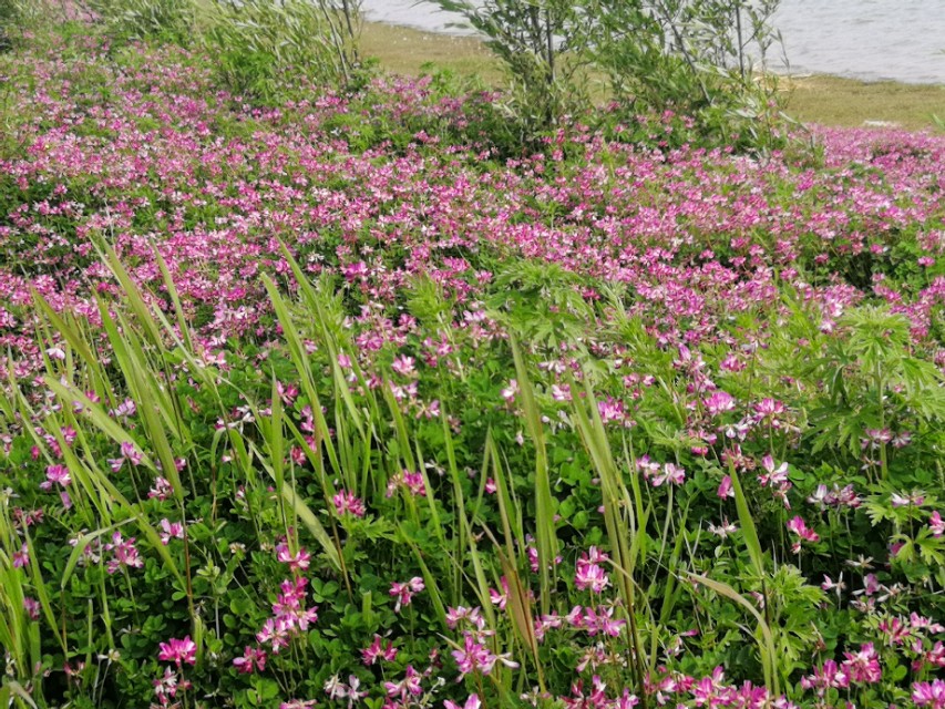 原油宝巨亏引发深思！中国的投资市场？金融理财的坑你掉过哪些？