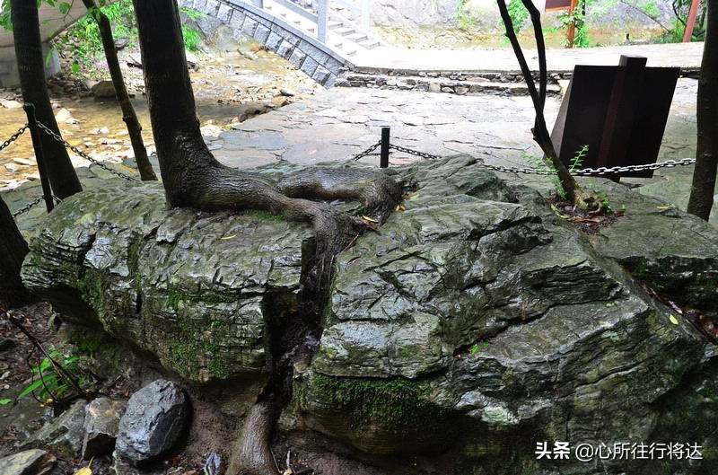 金丝大峡谷旅游有哪些推荐,金丝大峡谷景区攻略