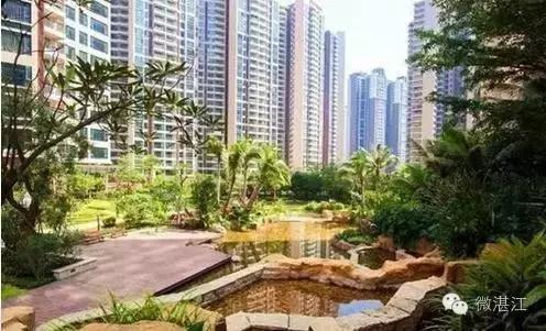 湛江有钱人集中在哪里,湛江有钱人一般都居住哪里