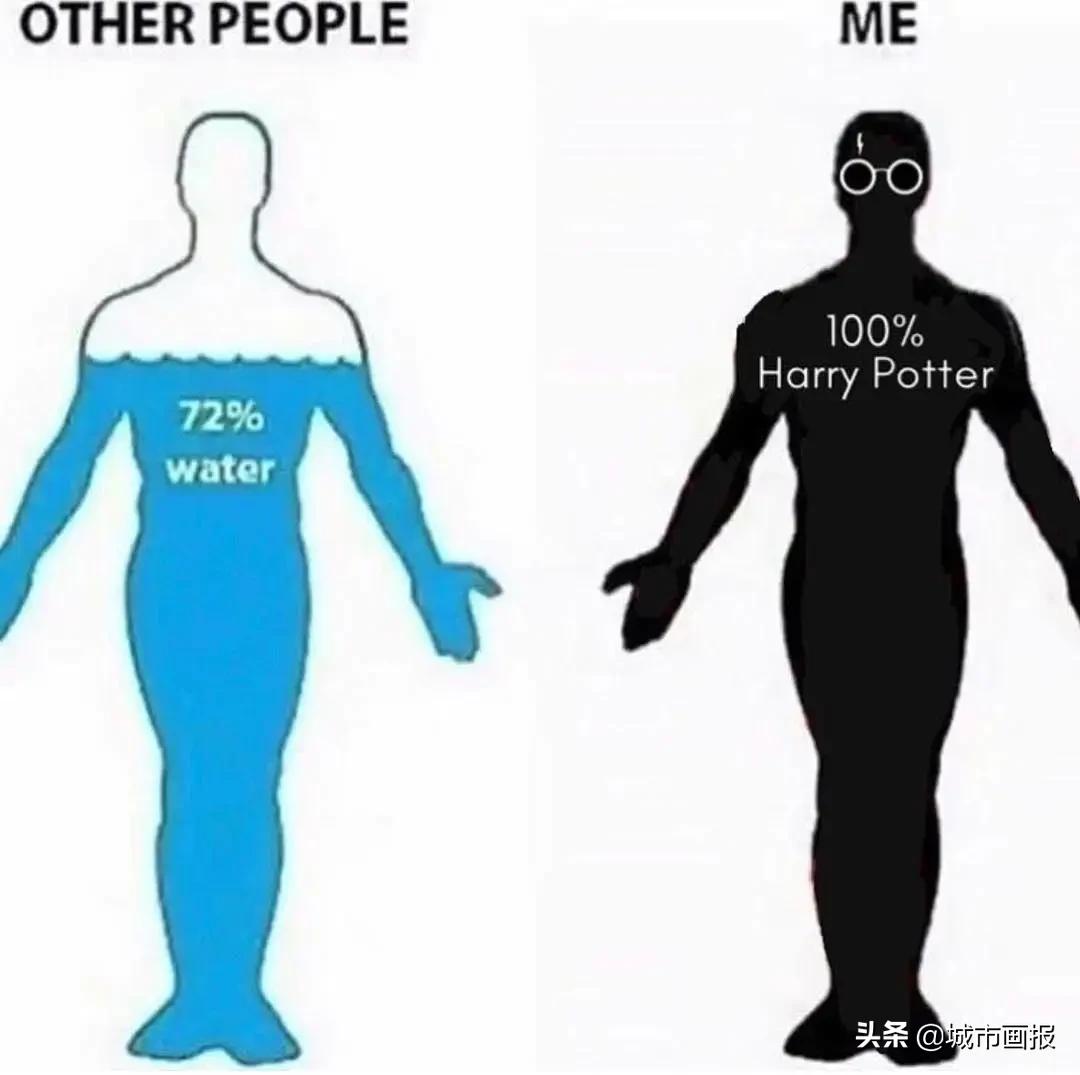 哈利波特的一封神奇的信,猫头鹰给哈利波特送的信