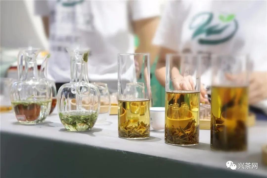 开茶叶店需要学茶知识吗,开茶叶店如何选品