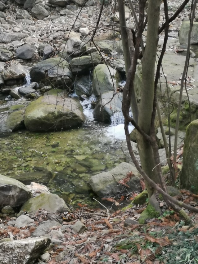 湖北省广水市应山三潭风景区简介,湖北广水三潭风景区免费吗