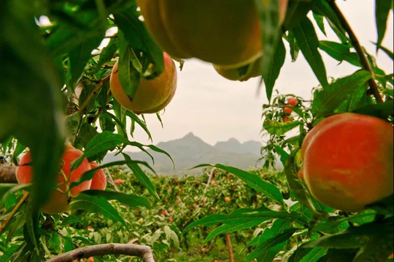 山东沂蒙山峡谷,沂蒙山区深山处