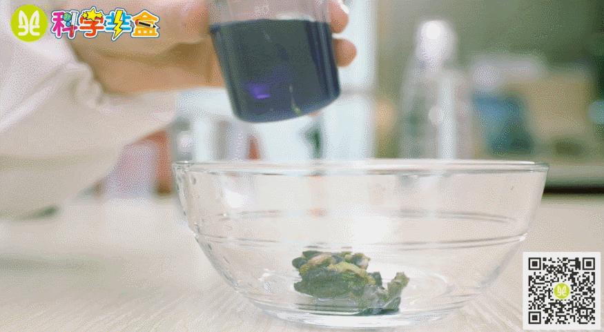 趣味实验水突然变色,酸碱变色实验