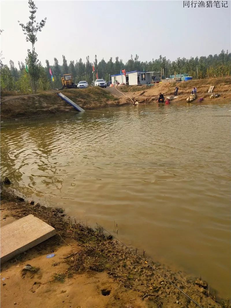 2019钓鱼日记,钓鱼笔记视频