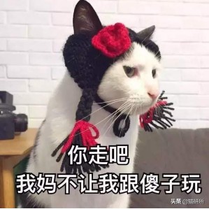 猫和主子玩装死游戏,在猫面前装死猫的反应