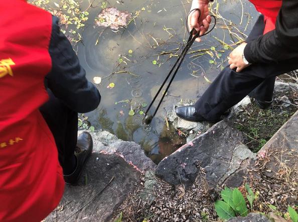 很多食物都有寄生虫,哪些寄生虫会造成生命危险