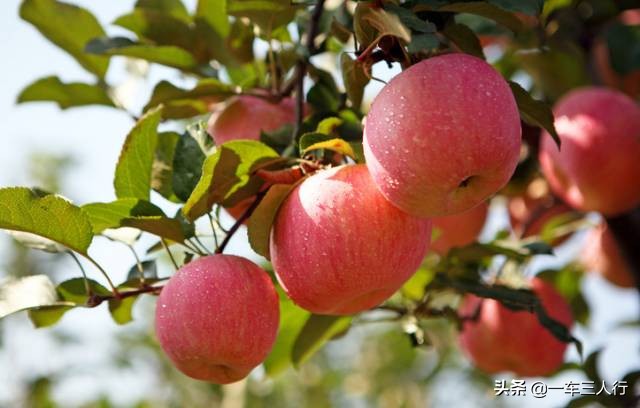 大连有一个蓝色的小城堡景点,大连秋季旅游景点攻略大全