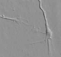 全脑开发早教好吗,早教和全脑开发的区别