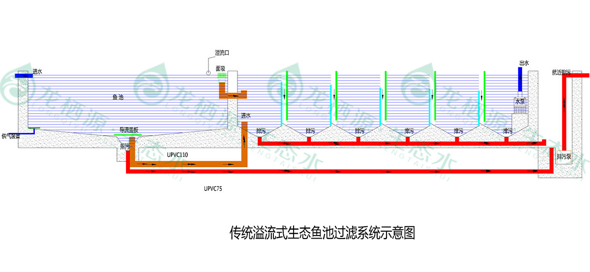 锦鲤鱼池过滤系统的施工过程,锦鲤鱼池过滤系统建造与改造