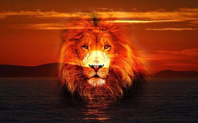 photoshop零基础入门到精通ps教程,ps设计零基础入门学习教程