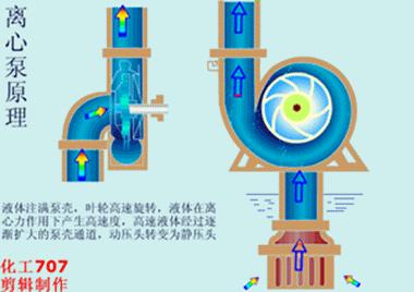 干货学习的基础知识,干货泵的基础知识大汇总