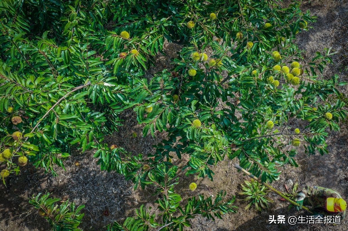 从中国制造转身为中国智造,从中国制造到中国智造未来