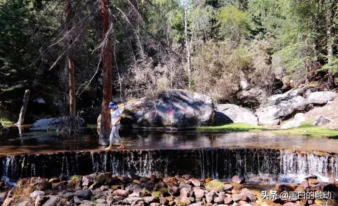 都说新疆好去新疆发展可靠么,都说新疆好地方