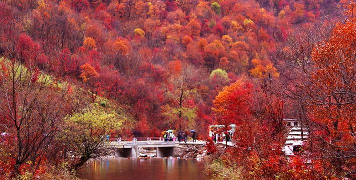 辽宁省为何有14个地级市,辽宁最不起眼的城市