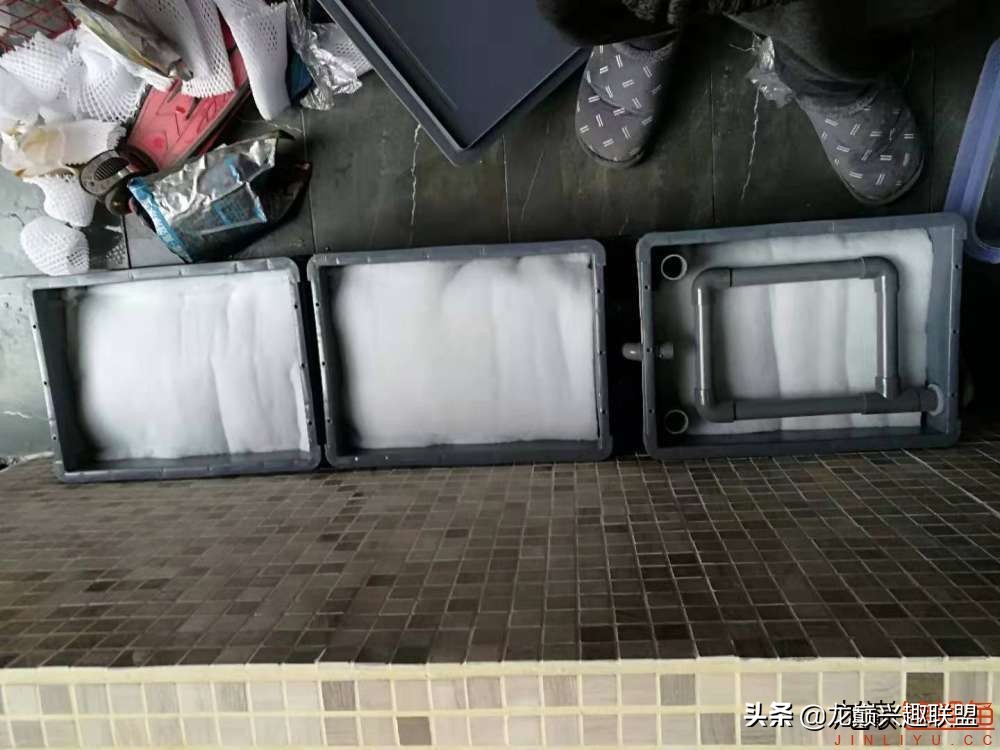 鱼友自制龙鱼缸,自制锦鲤鱼食配方及全过程