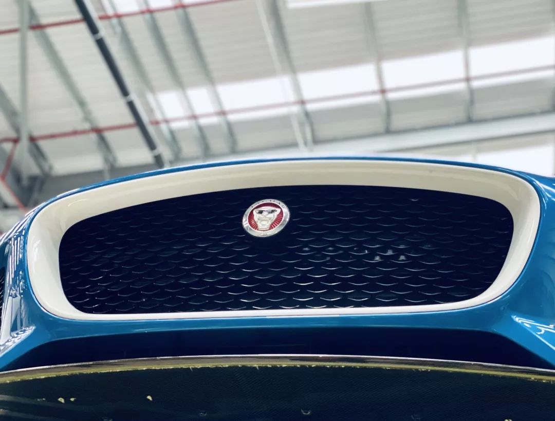 捷豹可爱的车型,捷豹车可爱