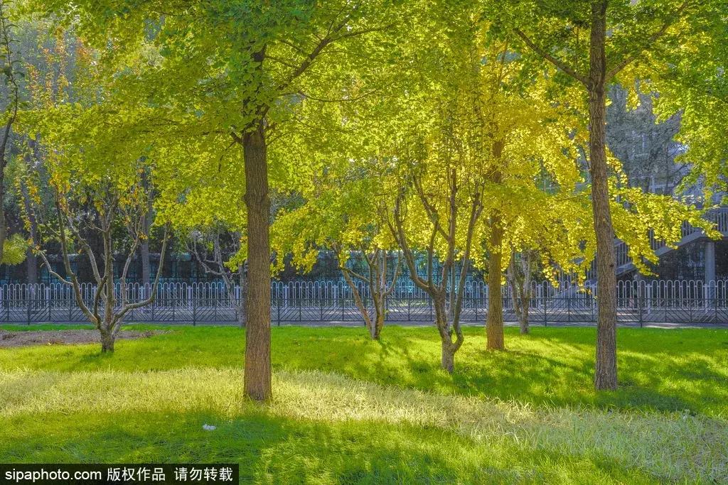 周末北京这些值得去的地方,北京周末来这儿玩